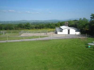 Johnduffswood Kennels