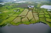 Arva Lake Property for sale