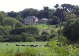 Ballinascarty Country House for sale