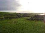 Ardfield Property
