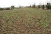 Reff 7145 Bishops Lands