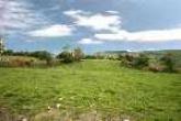35 ACRE ORGANIC NON RESIDENTIAL FARM HOLDING