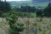 Killeagh Site for sale