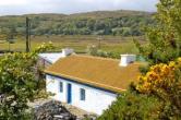 Doochary Period Property for sale