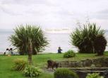 Cottage by Lough Foyle