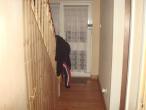 Saggart Terraced House for sale