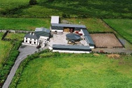 Kilcahill Stud Farm
