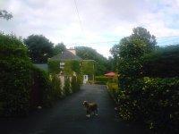 Rose Cottage