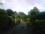 Loughrea Country House for sale