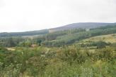 Ballinagleragh Cottage for sale