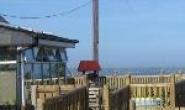 Carlingford Cottage for sale