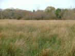 Knock Site for sale