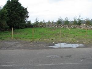 Shanaghy Heights