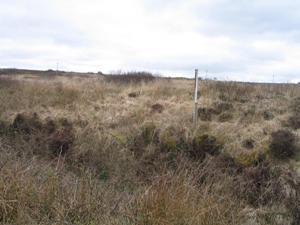 6 acres at Aughoose Pullathomas