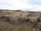 Ballina Farm for sale