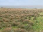 Belmullet Farm for sale