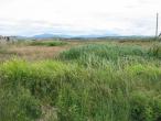 Shraigh Belmullet Co Mayo