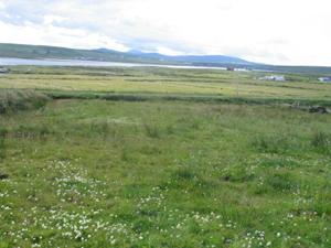 Tipp Site