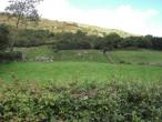 Foxford Site for sale