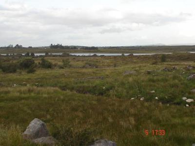 Site at Killavally