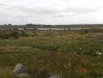 Westport Site for sale