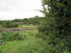 7 acre site at Deerpark