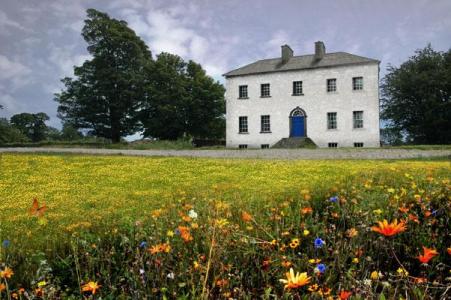 Camlin House Stunning character home