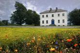 Boyle Period Property for sale