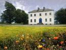 Ballinameen Period Property for sale