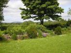 Cabinteely